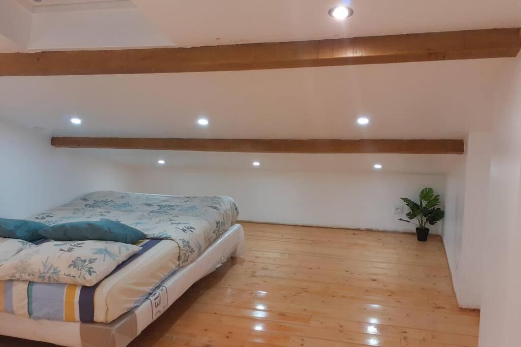 Appartement La Joie Dans Quartier Chic Pibrac Bagian luar foto