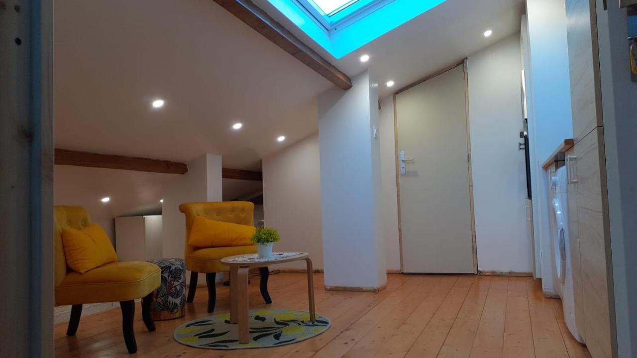 Appartement La Joie Dans Quartier Chic Pibrac Bagian luar foto